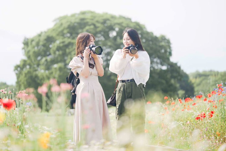 photo by 小春ハルカ。