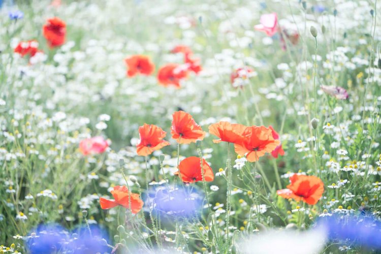 photo by 小春ハルカ。