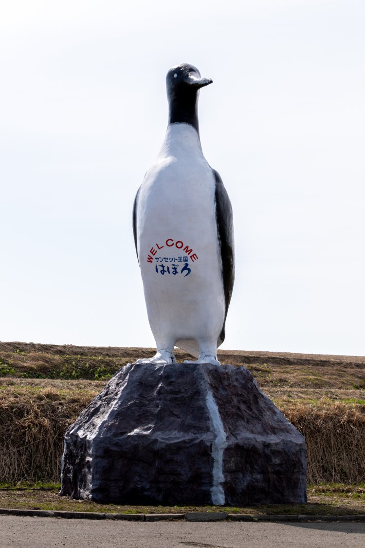 羽幌町の入口にはオロロン鳥（ウミガラス）の巨大なモニュメントが！