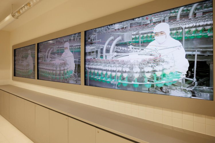 迫力の割卵機の映像。