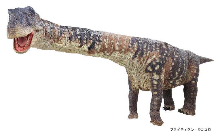 福井県で見つかった竜脚類、フクイティタンの恐竜ロボット。