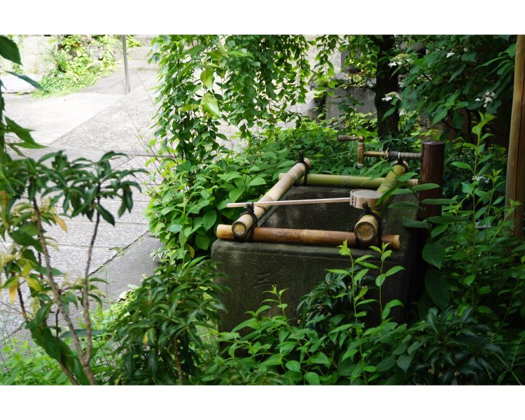 移転当時から大切にされているという、境内の井戸。