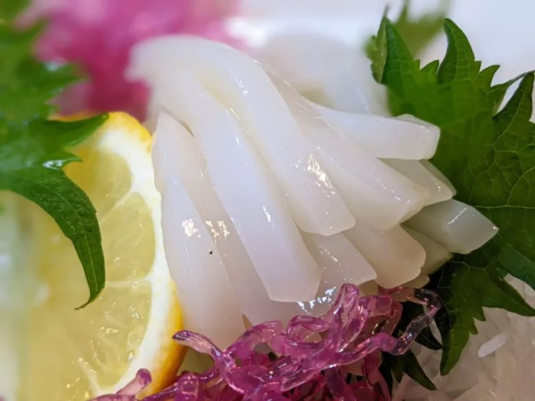 【酒場ナビ】秋田「めぐろ」