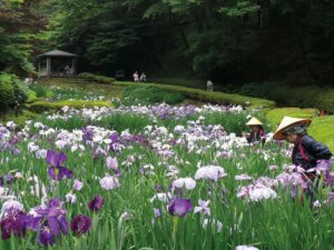 町田薬師池公園 四季彩の杜1