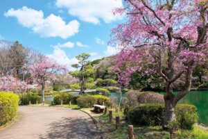 町田薬師池公園 四季彩の杜2