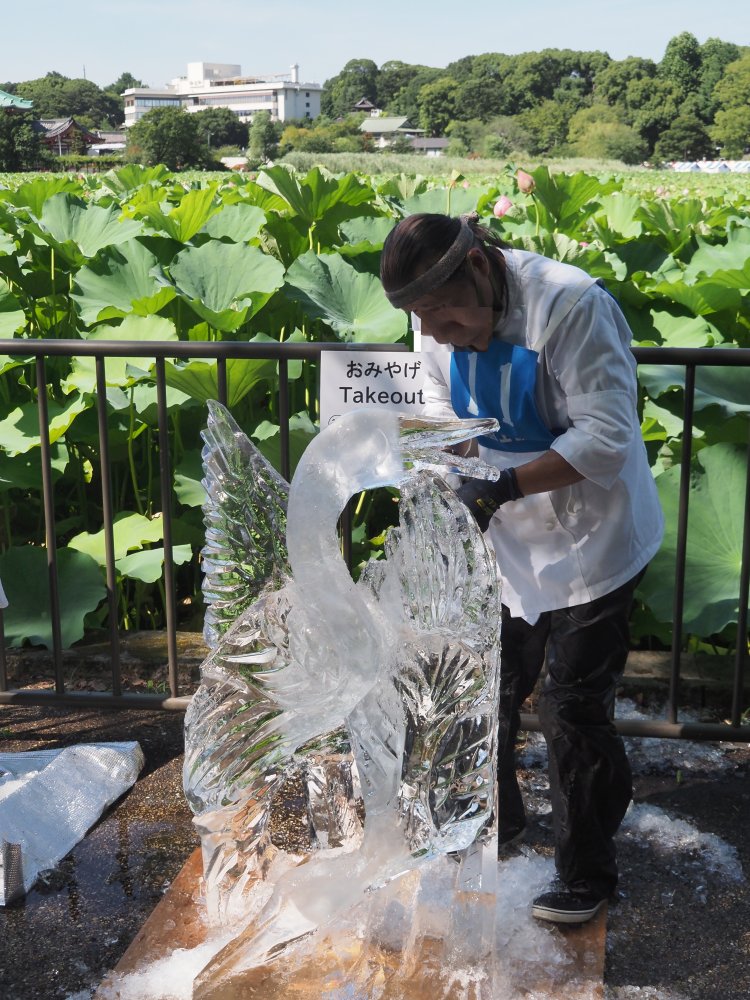 7月22日（月）の氷の彫刻コンテストで涼を感じたい（雨天中止）。