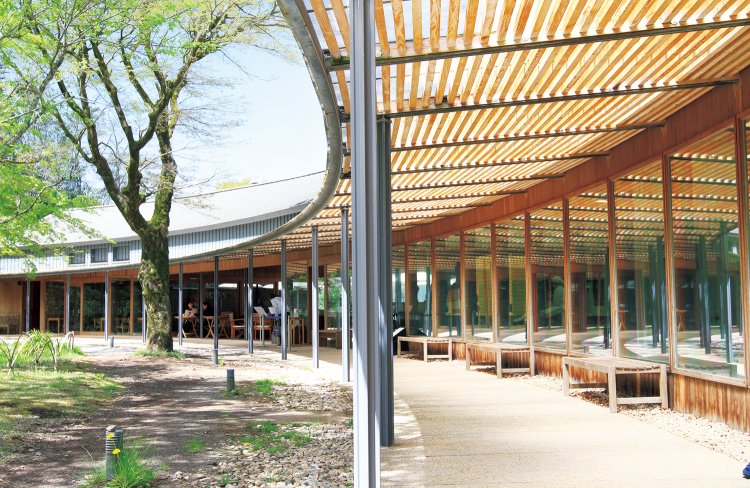 販売スペースでは、ガラス越しに製菓風景を望める（上）。イートイン用のテラス席・喫茶席から望む竹林や庭の美しさに、つい長居。