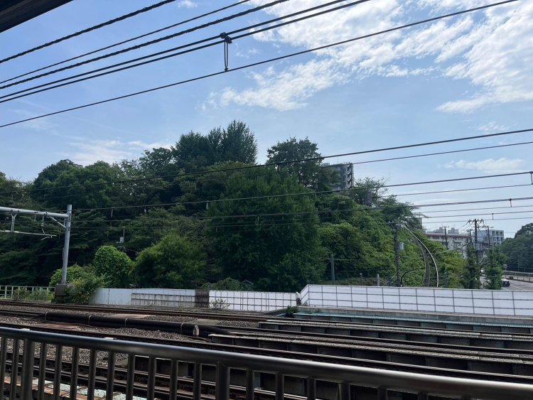 飛鳥山公園の全貌を王子駅から眺める。ぱっと見、森ですね。