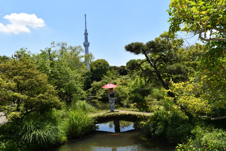『向島百貨園』でスカイツリーを背景に。