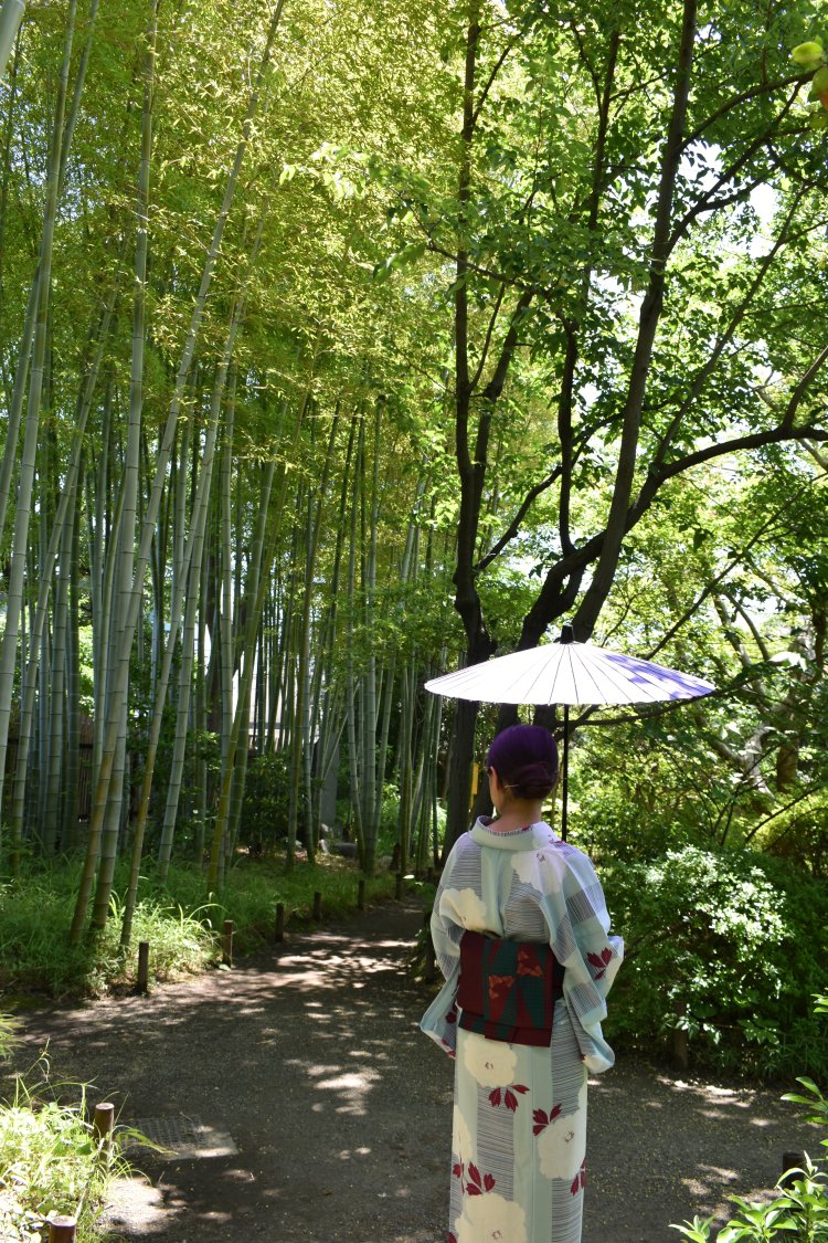 竹林も美しい『向島百花園』。