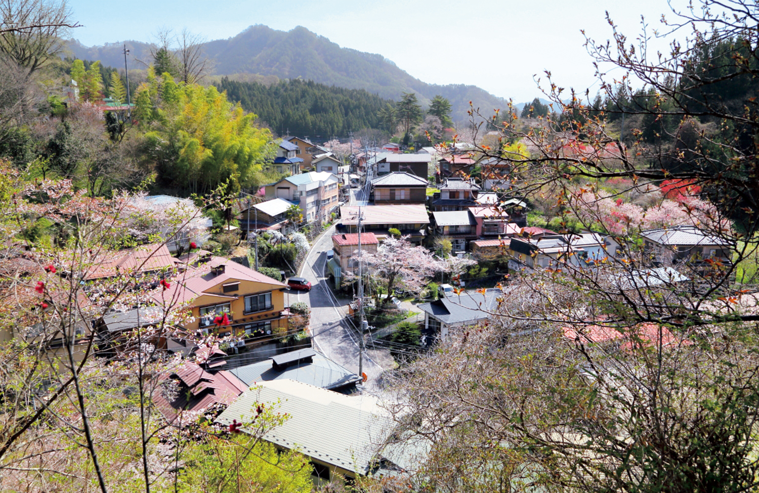 共同浴場裏の遊歩道を辿れば、こぢんまりとした沢渡温泉街が一望のもと。