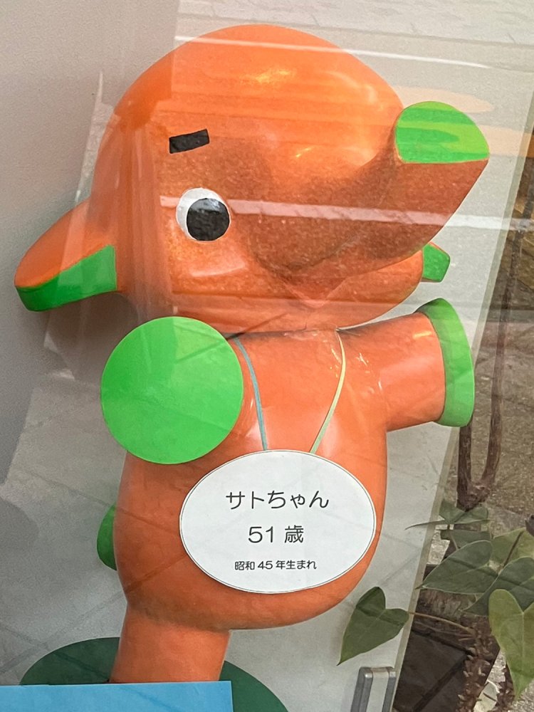 現在店頭ではめったにお目にかかれない、1970年登場の「サトちゃん繁栄号」。隣には54歳のピョンちゃんもいた（静岡）。