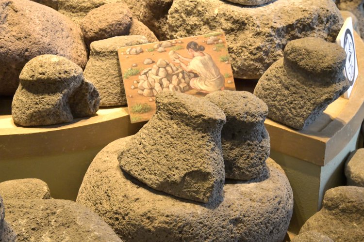 どんぐりや魚、肉などをミンチにしたと思われる大量のすり石。