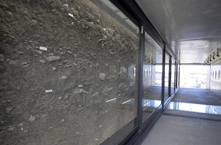 こちらは本物の入江貝塚の断面！　貴重な展示。