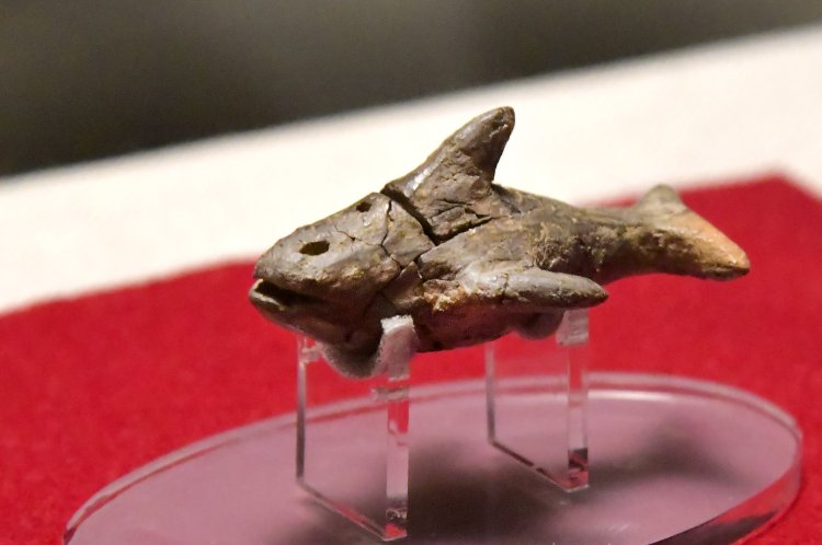 縄文中期の遺跡から出土したシャチ形土製品。