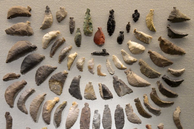 石槍など狩猟に使われた道具も数多く展示。