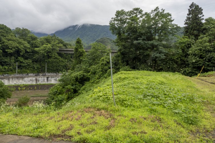 白砂川橋梁を渡った先にある盛土部分。橋梁は木々に隠れていて見えない。