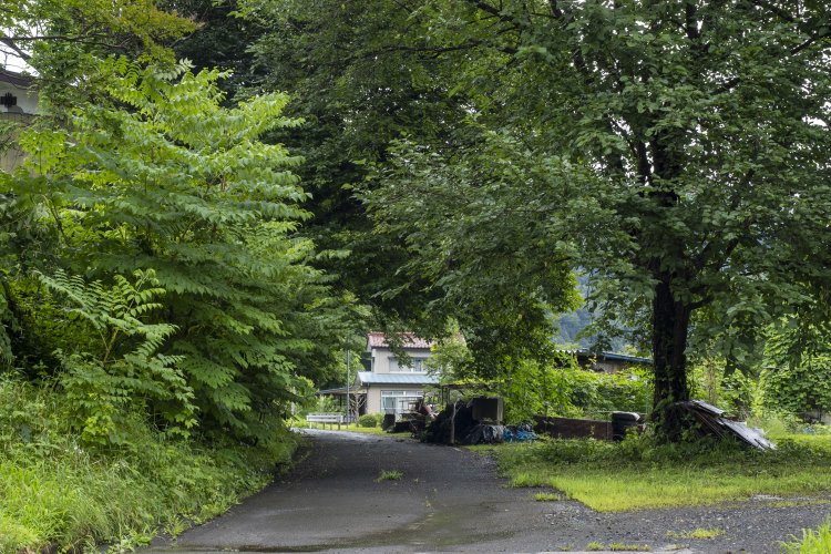 国道から分岐した後の廃線跡の生活道路を進むと、列車が来たら良さそうな雰囲気の空間であった。左へカーブする向こう側から気動車がやってきたら絵になる。草木は伐採されていると思うが……。