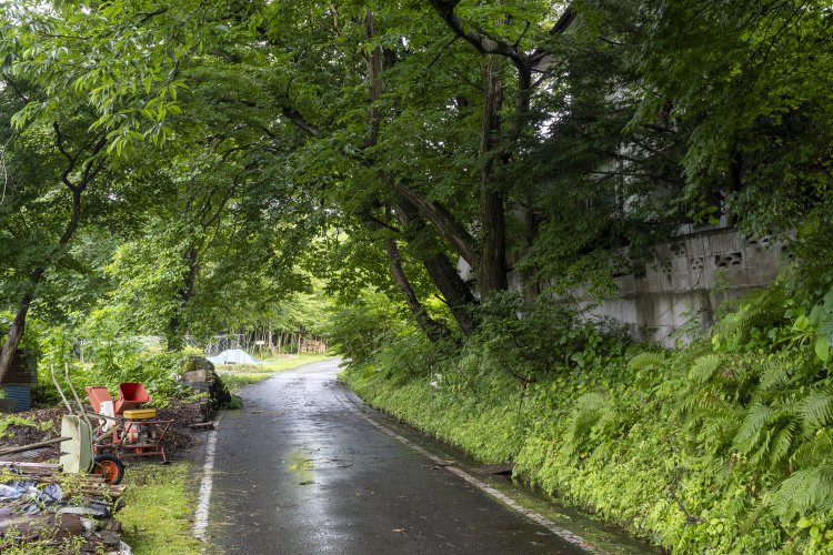 振り返る。畑と家々の間に道がある。ツートンカラーの国鉄色の気動車がやってきたら絵になるなぁ。