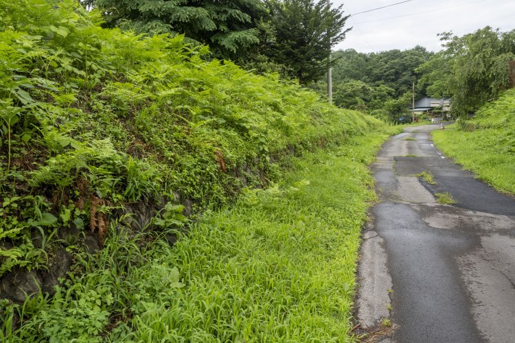 橋の先も緩やかなカーブ。振り返ってみる。両側はちょっとした掘割となっていて、谷積みの石垣がちらっと顔を覗かせている。これも長野原線の遺構かと思われる。