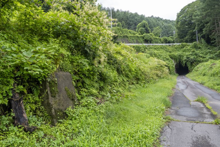 トンネル手前の左手にはコンクリート構造物があった。非電化なので架線柱ではないし、信号機土台でもなさそう。