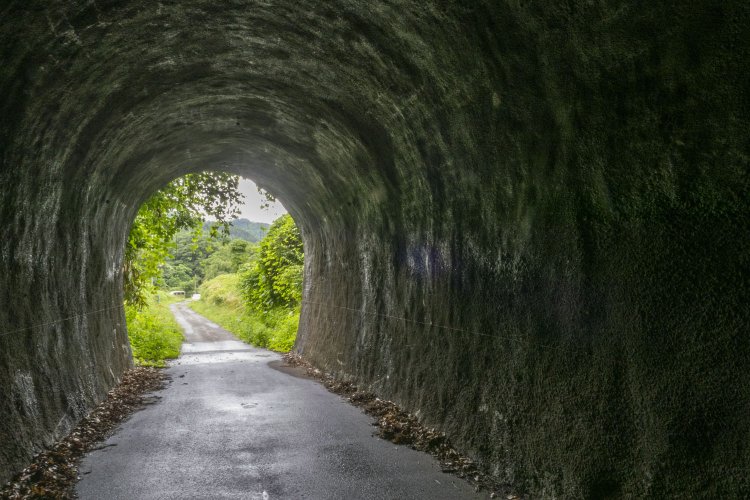 振り返ると入り口の蔦がすさまじい。トンネルの向こうはのどかな山あい。