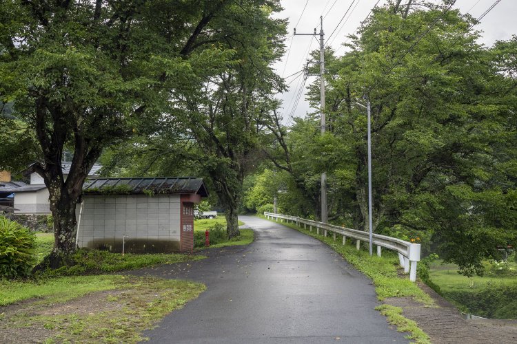 森の中から現れた廃線跡は再び生活道路となる。左の樹木は長野原線があったときの時代を知っているのだろうか。