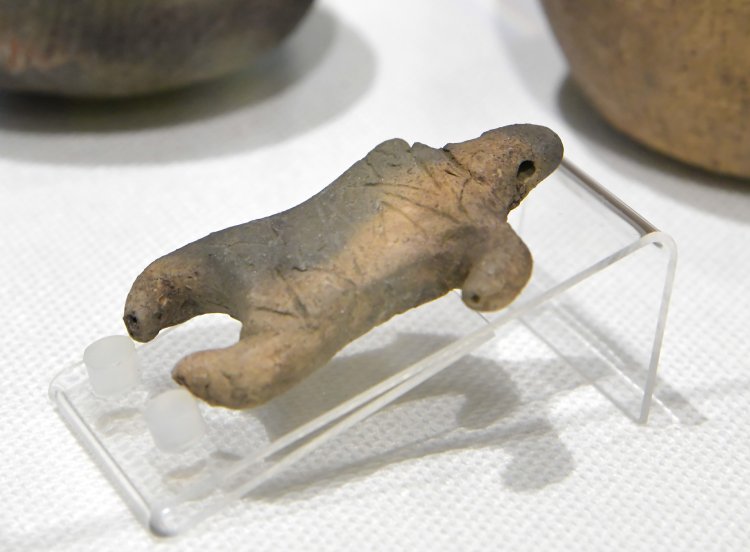 高砂貝塚で見つかった土偶は亀のようだが真相はいかに……？