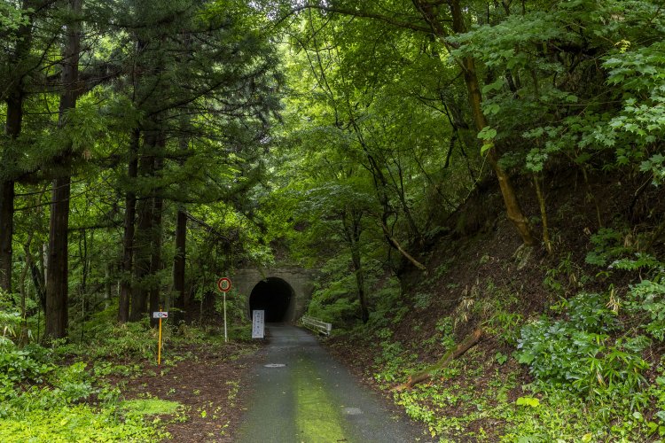 と、振り返る。谷間に佇む第二愛宕トンネル。人によっては怖い空間かもしれないな。