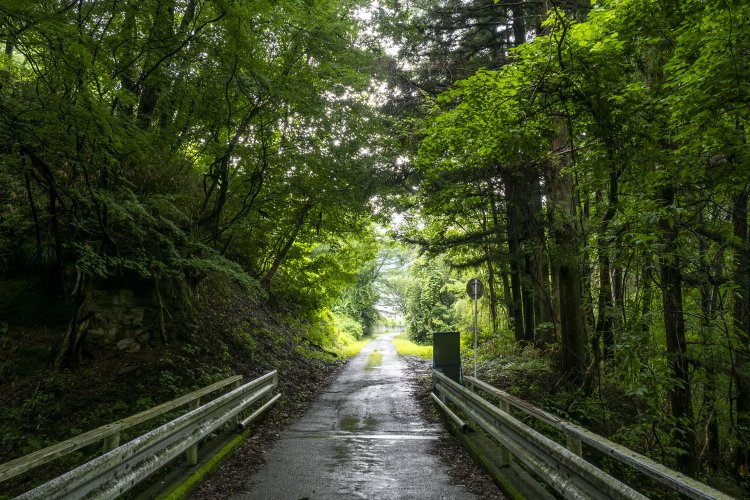 橋梁から向こう側の世界を見る。奥に住宅地を見つけた。人が住んでいるところとこちら側が別世界に思えた。
