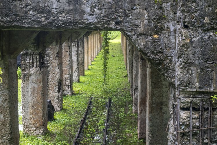 外階段からもホッパーが間近に観察できる。蔦が垂れ下がり、保存されている施設というよりも人知れずたたずむ遺構のよう。中之条町がこの状態のまま保存していることに感謝。