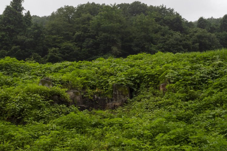 ほぼ草に埋もれてしまっているが、コンクリートの基礎が露出していた。