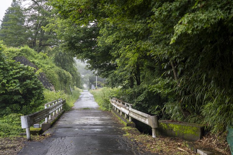 3本目の橋梁も短い。ここも変哲のない橋だと思ったら……。