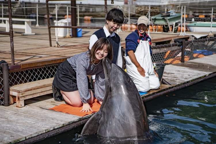イルカと握手したり体に触れたりできる「イルカとあそぼ！」は一人2000円。