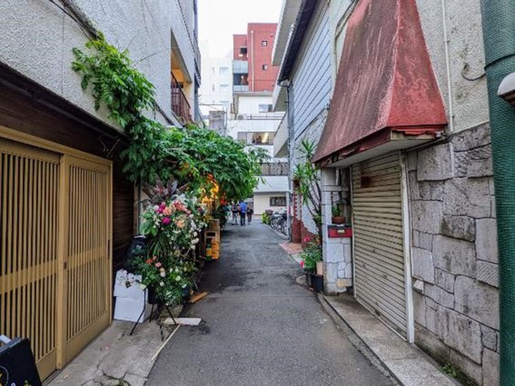 緑が生い茂る謎の小道。