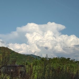 夏の散歩は「積乱雲」に要注意！ 急な雷雨を回避するために知っておきたいポイントは？