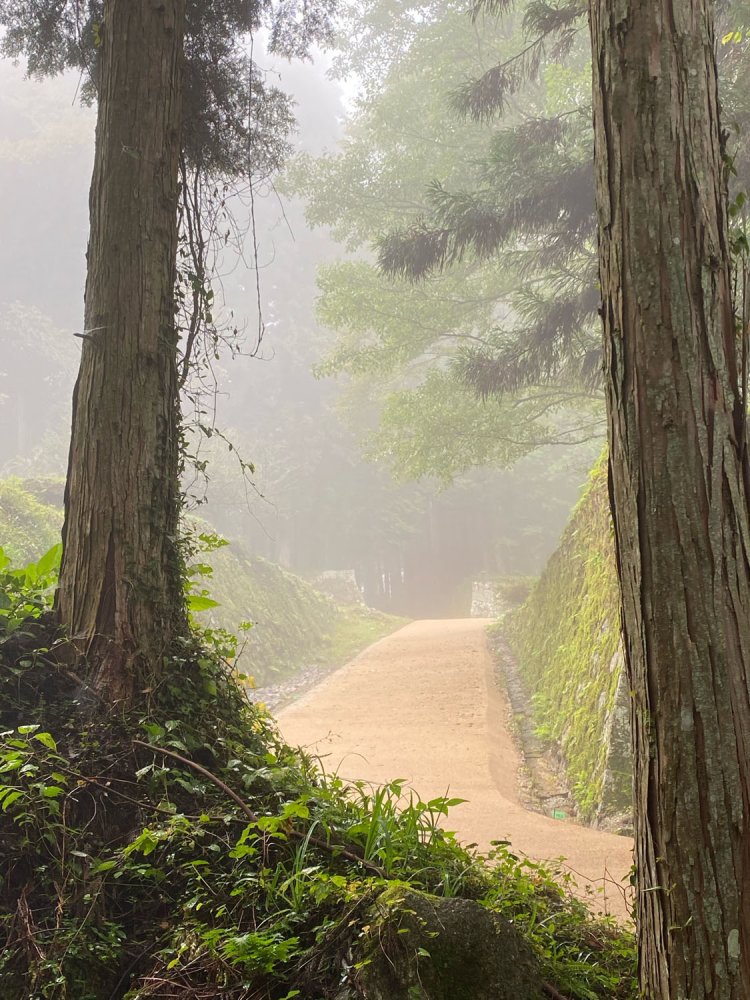 霧の深い岩村城は、朧げで幻想的な趣である。