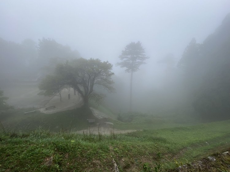 濃霧の本丸からの景色である。眺望は楽しめぬがこれもまた一興であろう。