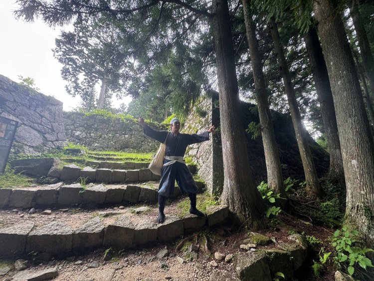 木々と石垣の組み合わせは実に美しいぞ。