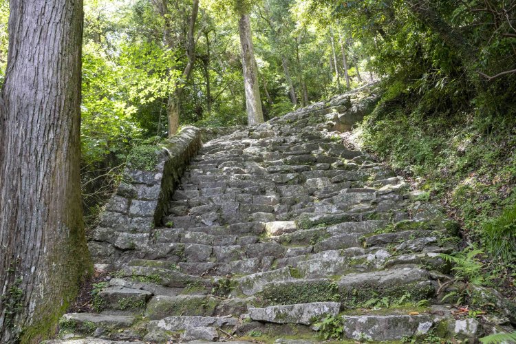 この石段を、松明（たいまつ）を持ちながら駆け下りる「御燈（おとう）祭」が毎年2月6日に行われる。