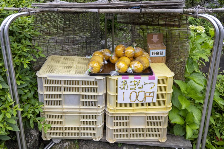道端にはポンと果物や野菜が置かれた直売所が。地元の人のおもてなしの心にほっこり。