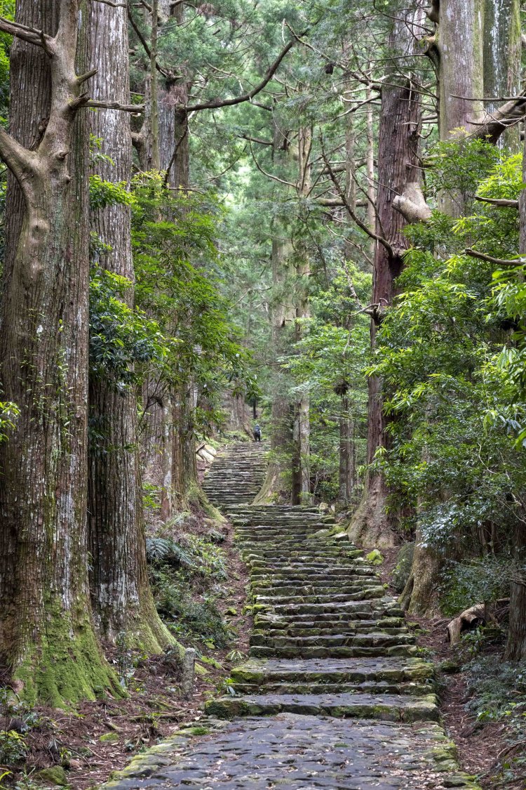 いまにも平安貴族が歩いてきそうだ。