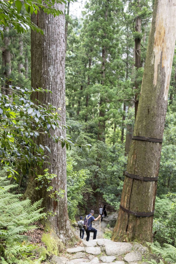 石段を下り、那智の滝を目指す。
