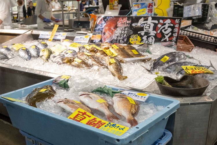堅田漁業のマダイや紀州産カツオ、貝類などがずらり。