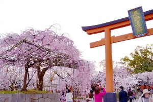 平野神社