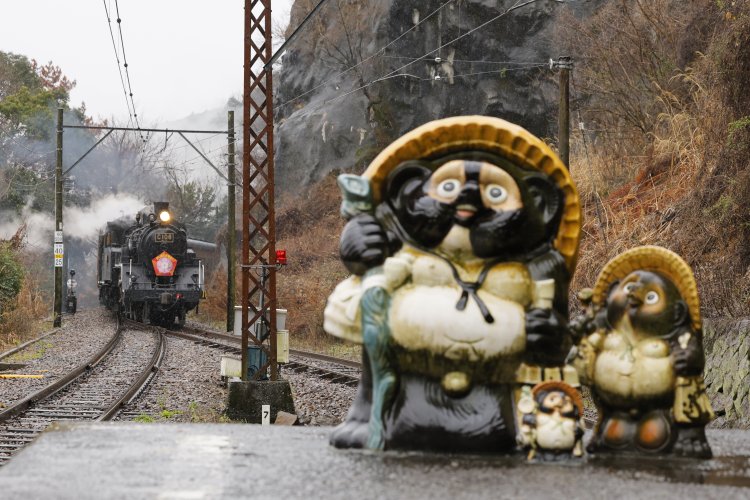神尾駅はたぬきの駅。大きさ、表情いろいろなたぬきたちが旅人を出迎える。