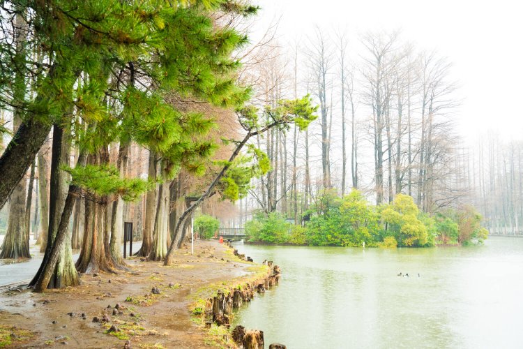 東海林のり子7別所沼公園