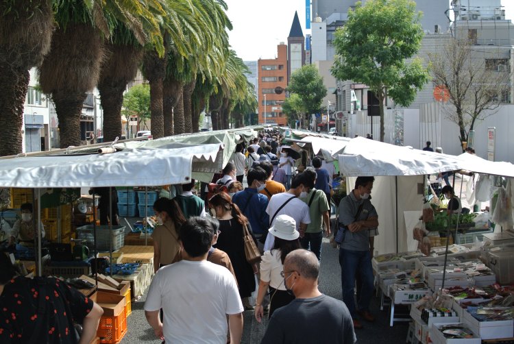 全長約1kmに約300店が並ぶ（写真＝高知県観光コンベンション協会）。