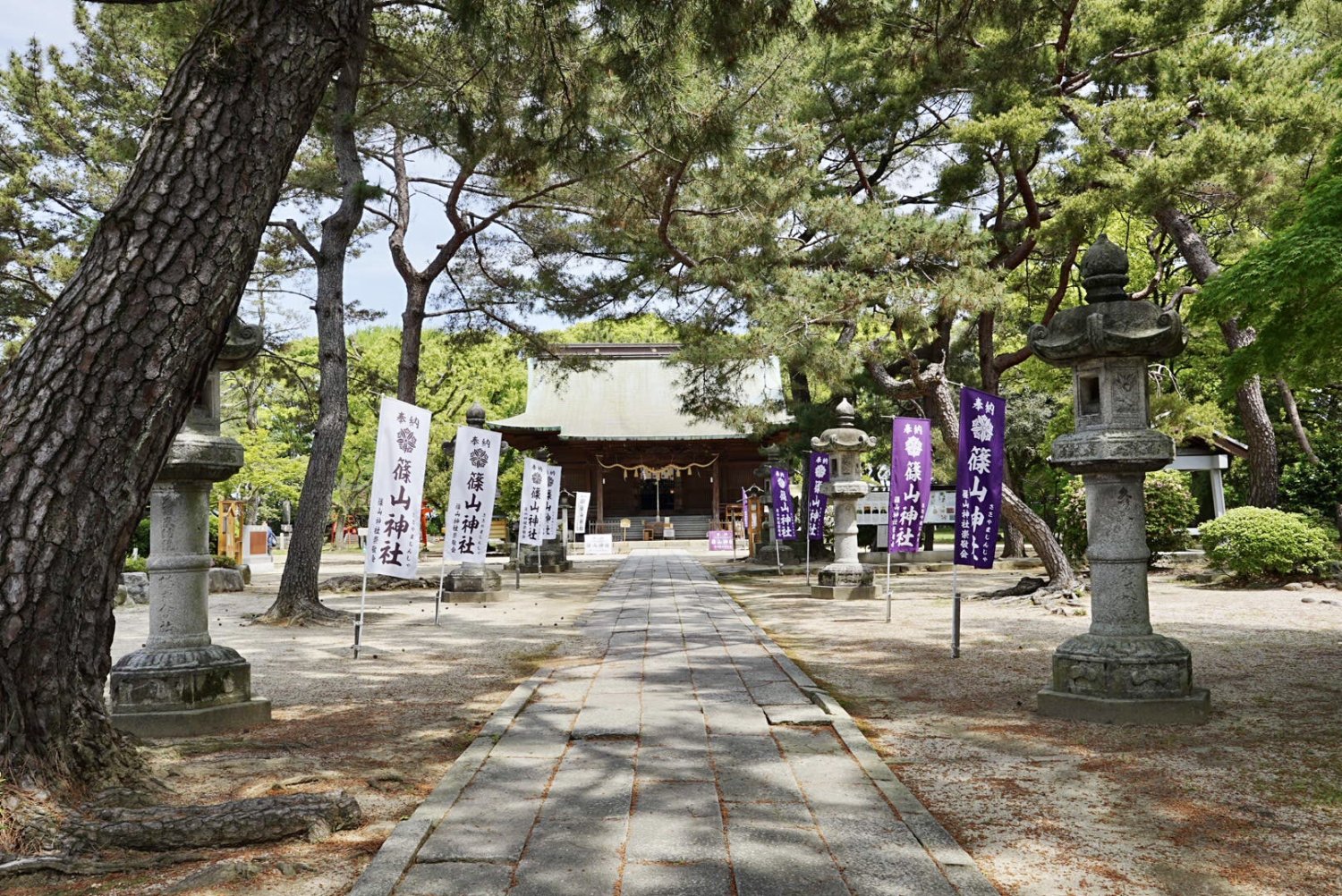 藩祖・有馬豊氏（とようじ）を祀る篠山神社が鎮座。