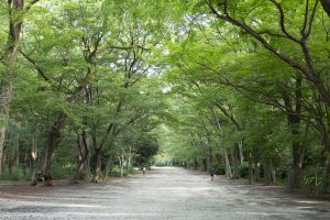 下鴨神社（賀茂御祖神社）3